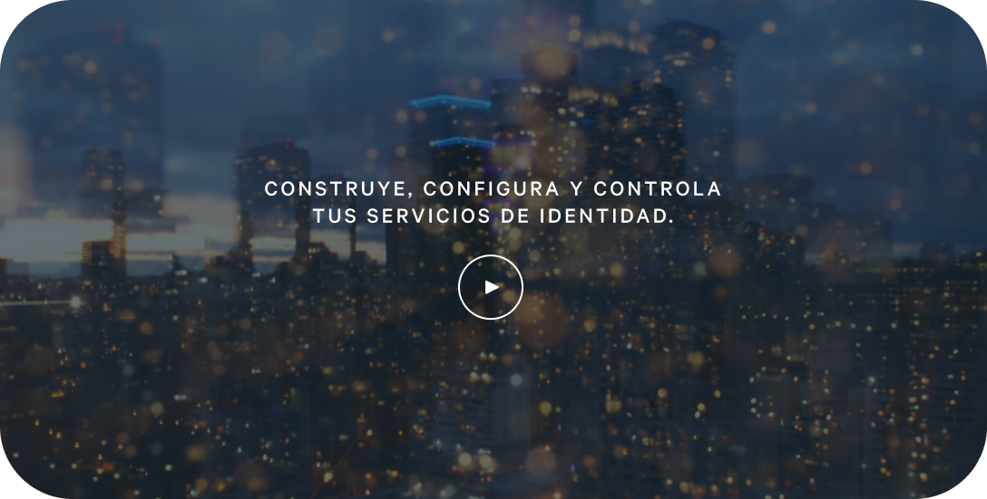 Plataforma verificación identidad mivip