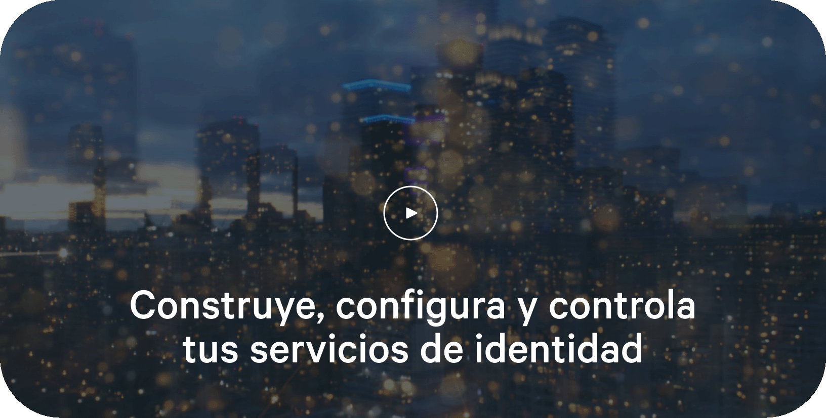 Plataforma verificación identidad mivip