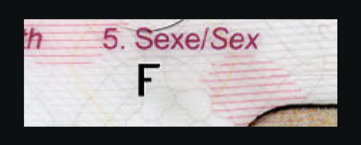Fraud example